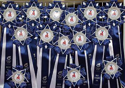 �������� ����� '���-�����-������' 22-23 ������ 2014 169A8264 copy.jpg